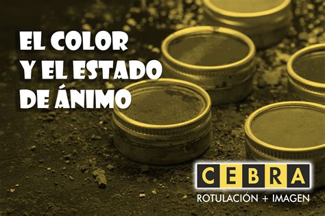 The Animo .